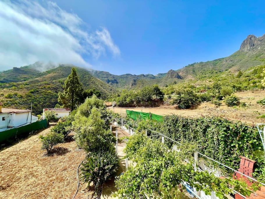 Tenteniguada Enjoy Nature Vakantiehuis Las Palmas