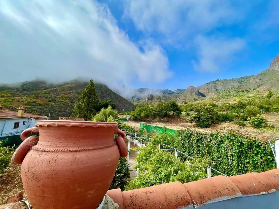 Tenteniguada Enjoy Nature * Las Palmas